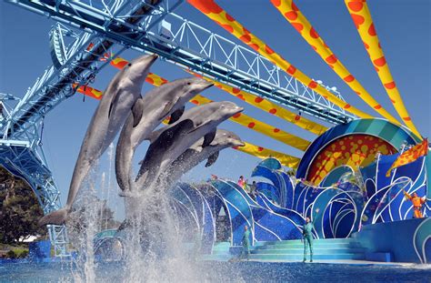 Immerse Yourself in Magic at SeaWorld's Enchanting Theme Park